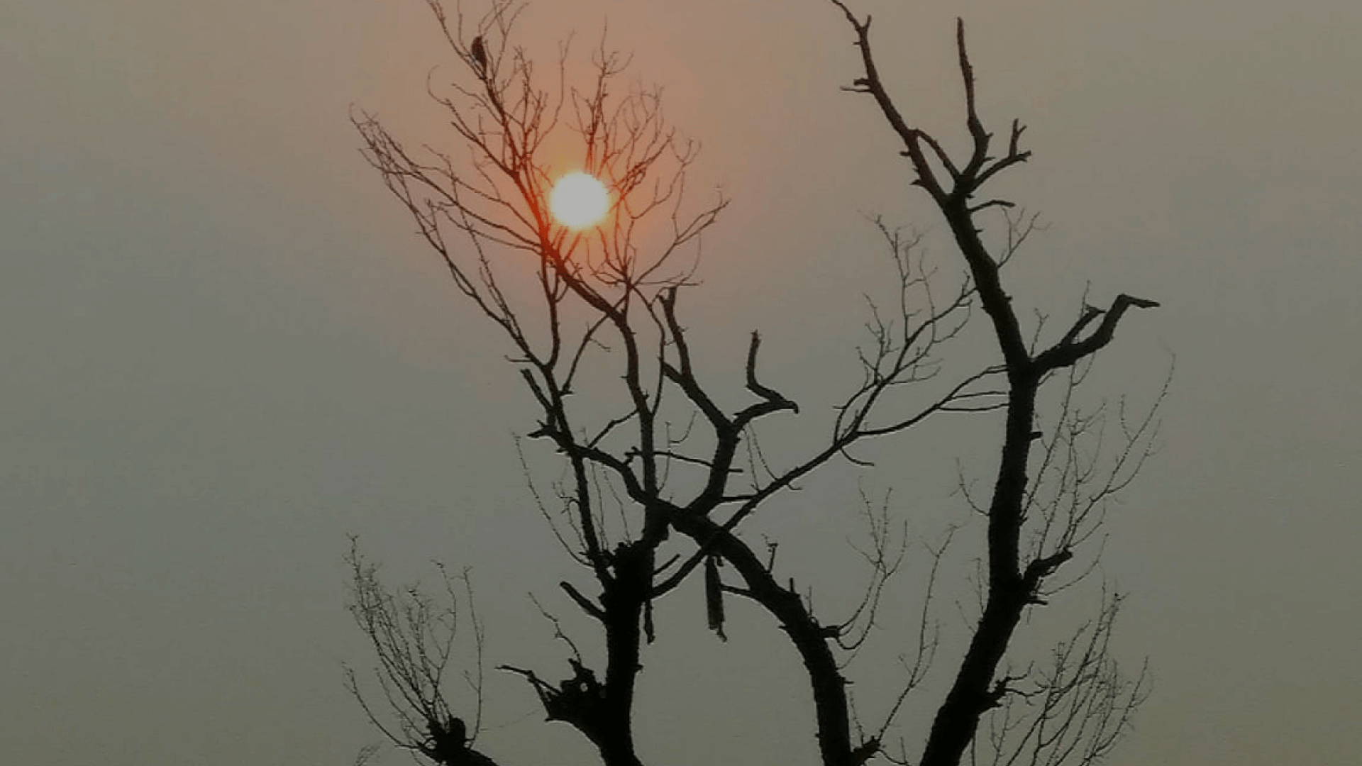 Contact us - Deux Productions